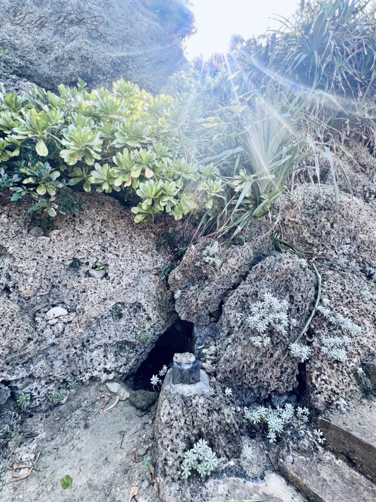 琉球の五穀神話に登場する禊の湧水、ヤグルガー。五穀の種を受け取るためにファーガナシーが身を清めたとされる、久高島の信仰と命の水の源泉。